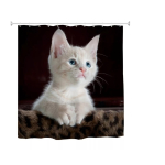 Douchegordijn Kat 180x180 cm – Schattig Wit Katje