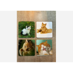 Onderzetters katten setje van 4 stuks