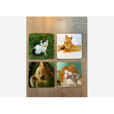 Onderzetters katten setje van 4 stuks