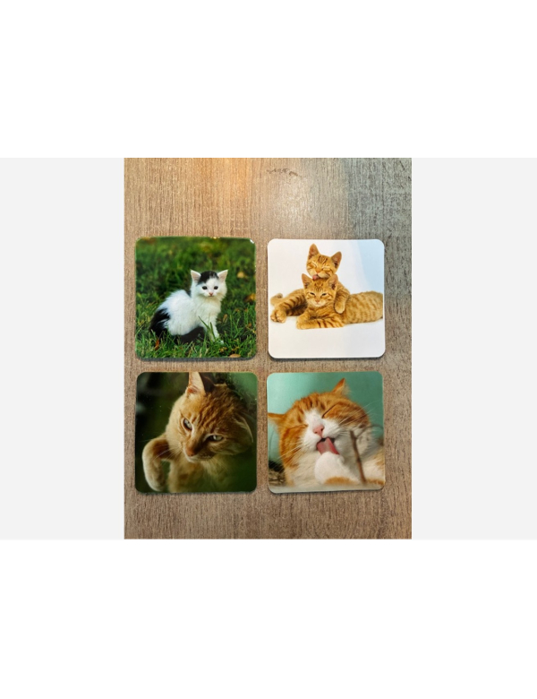 Onderzetters katten setje van 4 stuks
