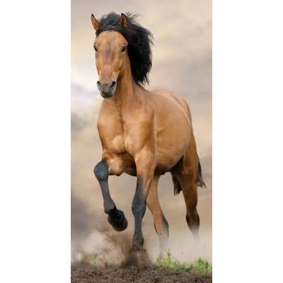 Strandlaken Paard 70x140